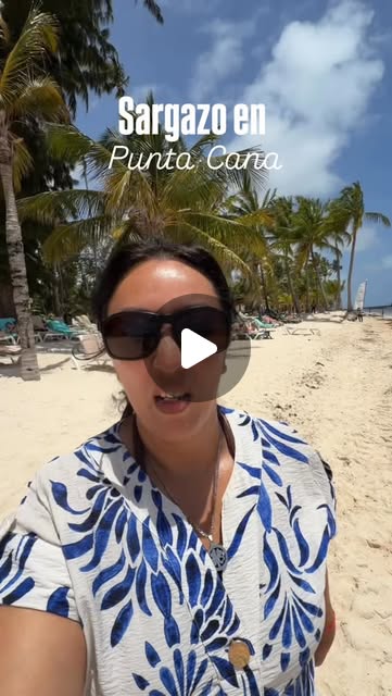 Sargazo en Punta Cana Ya comenzo la epoc
