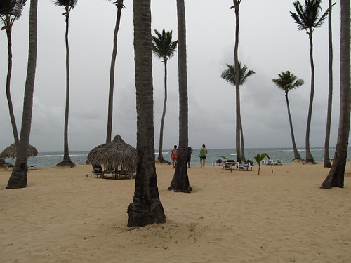 Playa de Hotel Sirenis Cocotal.