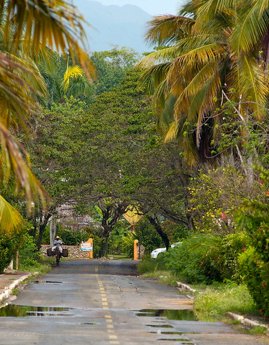 Dominican Republic