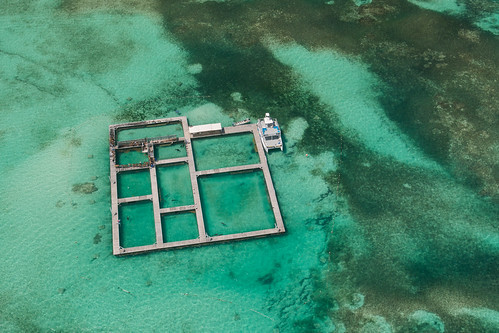 Punta Cana, Dominican Republic.