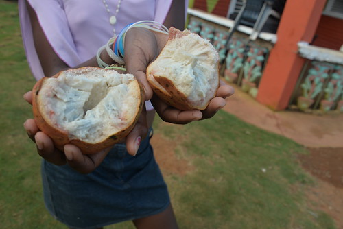 Peace Corps: Dominican Republic