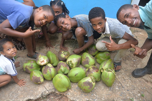 Peace Corps: Dominican Republic - Coconuts