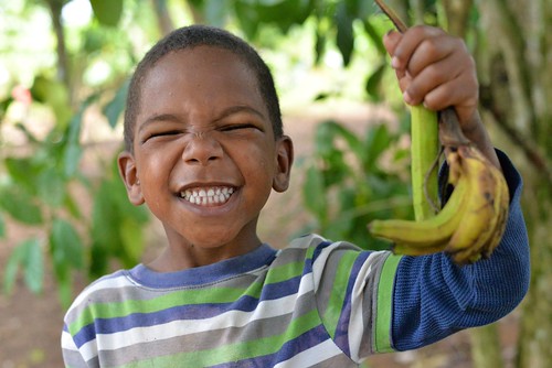 Peace Corps: Dominican Republic - Bananas