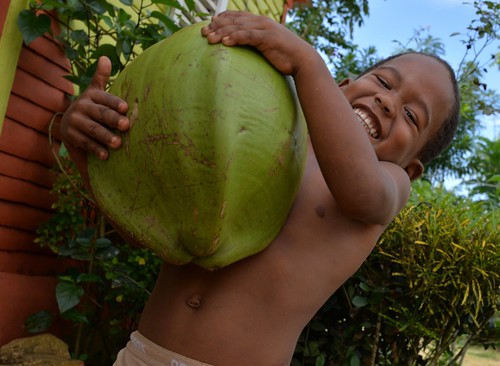 Peace Corps: Coconuts Dominican Republic