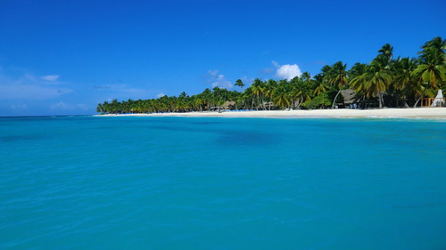 Dominican-Republic - Island of Saona - wonderful blue sea & white sandy beaches & palms