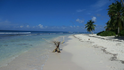 Dominican-Republic - Island of Saona - walking along the beach