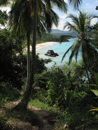 Beach at Las Galeras, Dominican Republic.