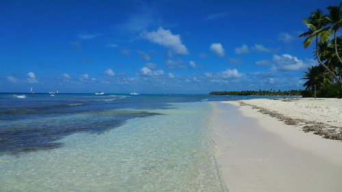 Dominican-Republic - Island of Saona - clear water & white sand