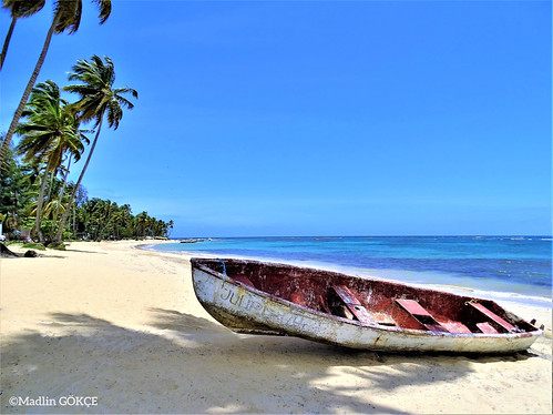 Fish Boat