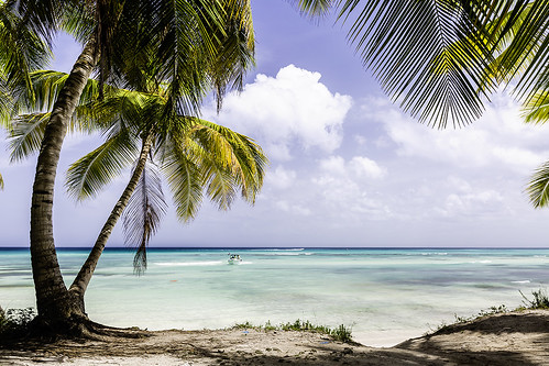 Isla Saona - Dominican Republic