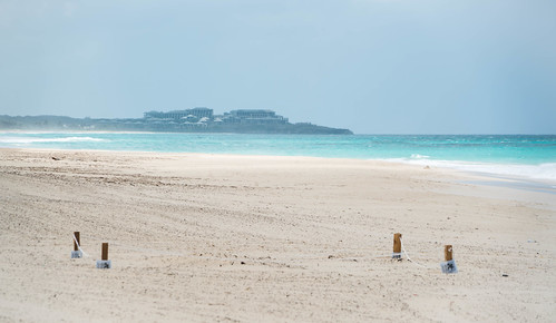 Punta Cana - Dominican Republic