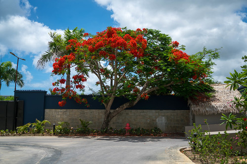 Punta Cana, Dominican Republic