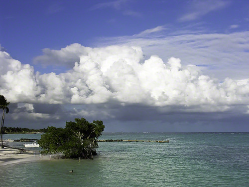 Beach, Dominican Republic